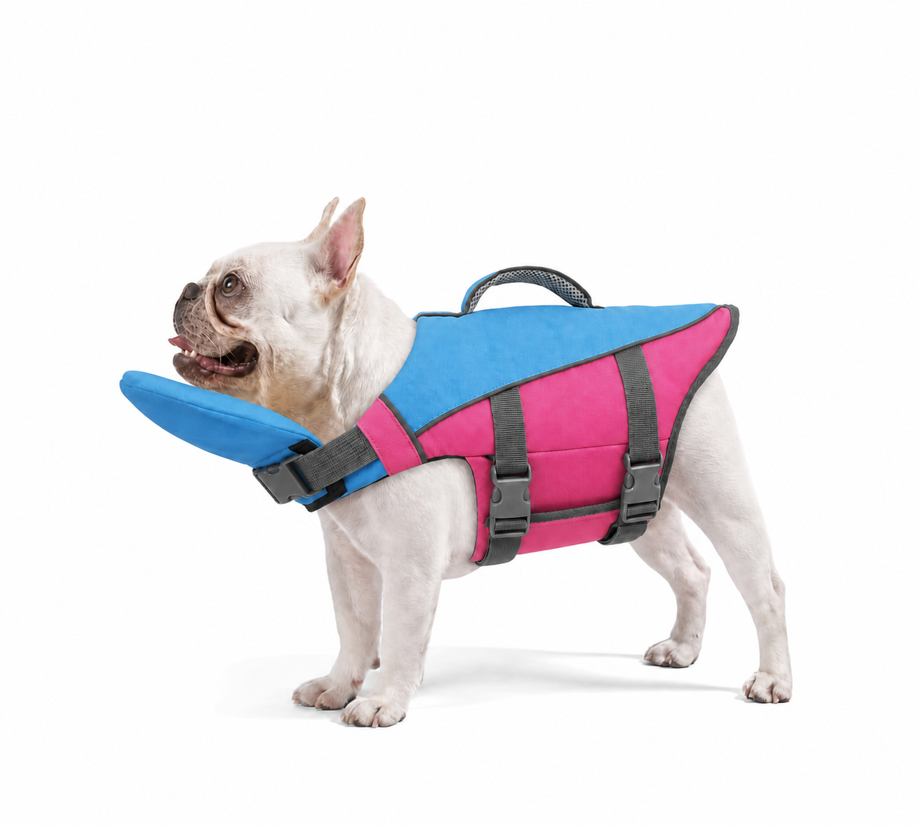 SafeSwim Dog Life Jacket with Chin Support