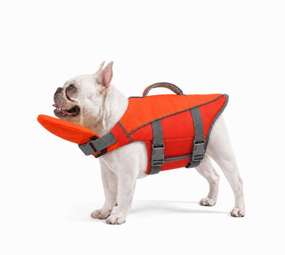 SafeSwim Dog Life Jacket with Chin Support