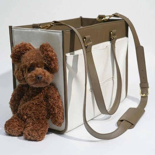 Teddy Carry Bag